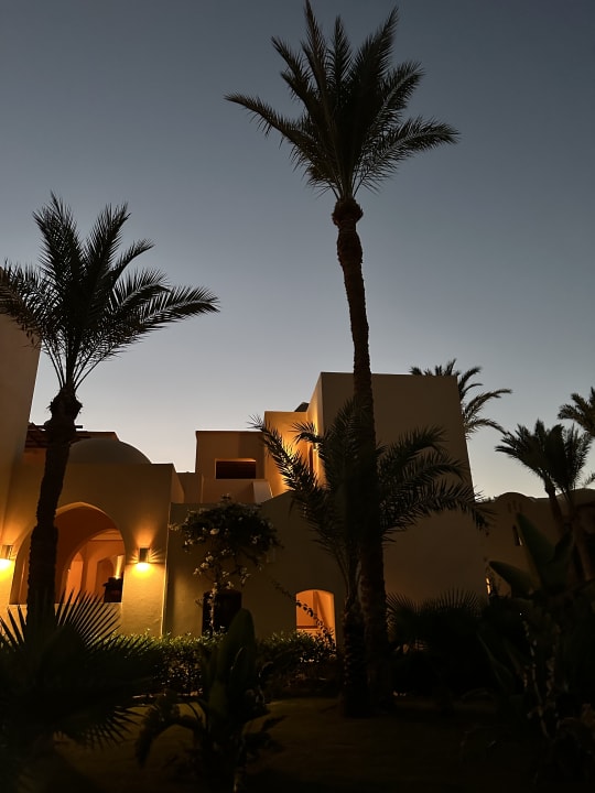 Gartenanlage Steigenberger Coraya Beach - Adults only