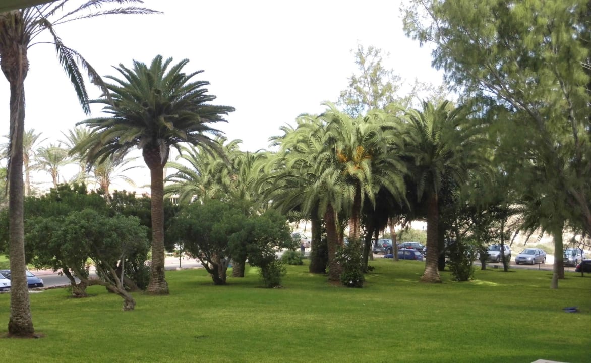  Hotel Riu Garten Hotel Riu Oliva Beach - Hotel