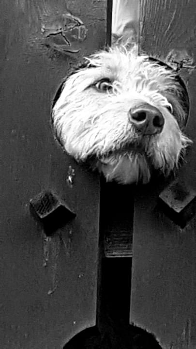 Außenansicht Landhaus Barbara