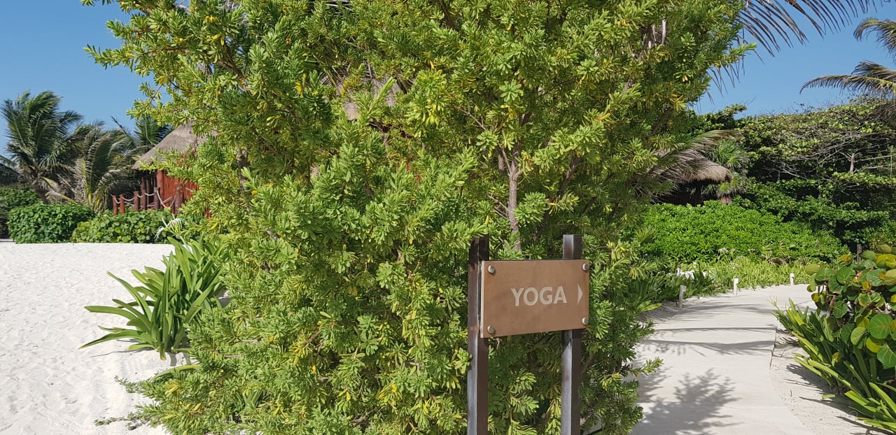 Gartenanlage Akumal Bay Beach & Wellness Resort