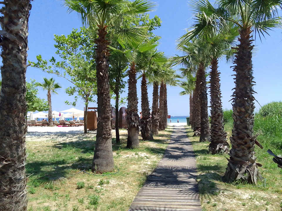 Strand Alexandra Golden Boutique - Adults only