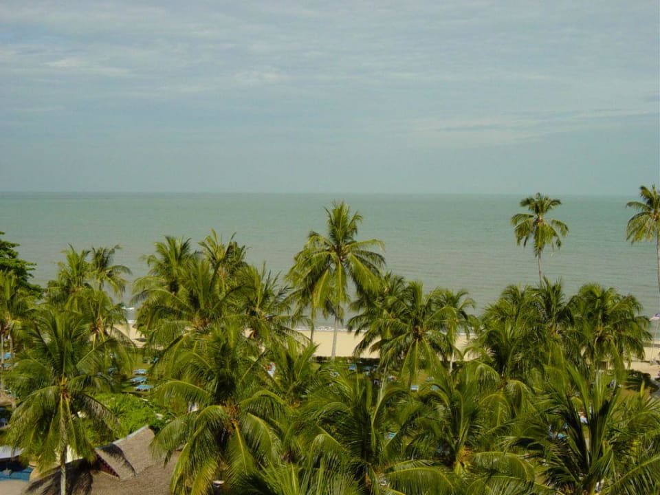 Blick vom Hotelzimmer Hotel Shangri-La Golden Sands Resort