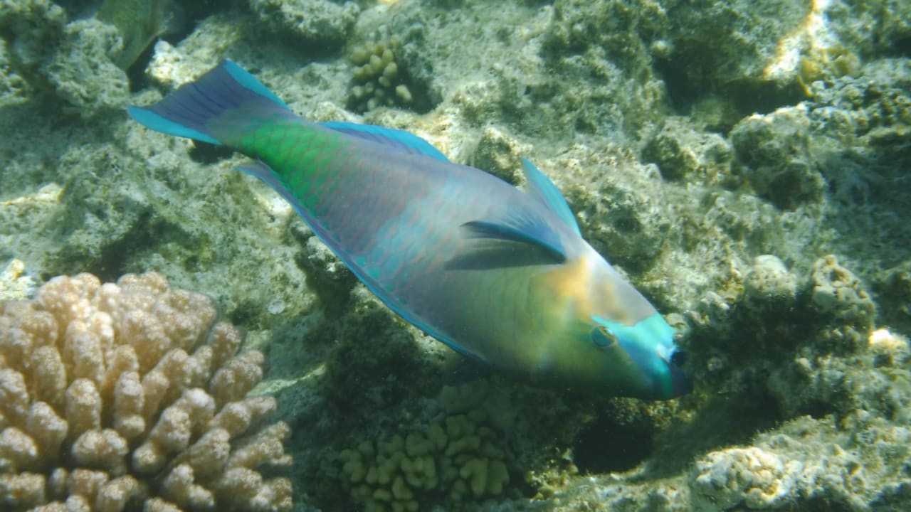 Sport & Freizeit Makadi Spa - Adults only