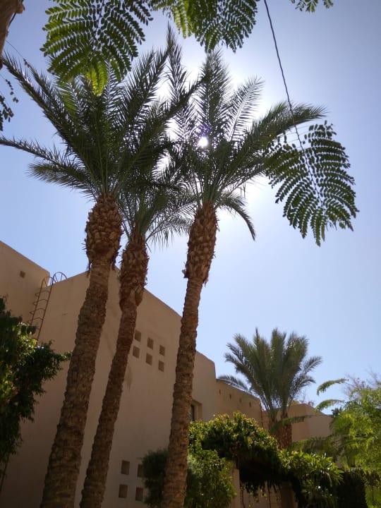 Weg The Grand Hotel Sharm El Sheikh