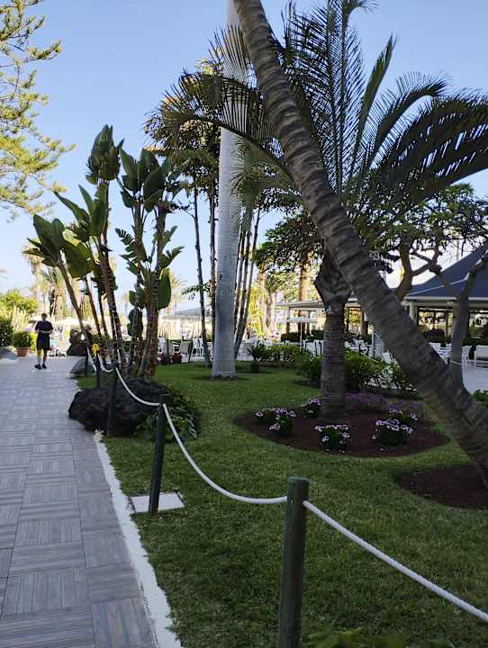 Gartenanlage H10 Las Palmeras