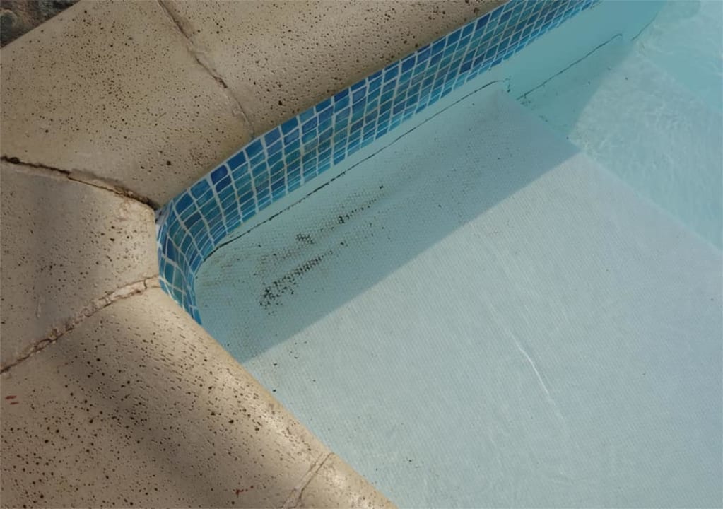 Zimmer Three Corners Sea Beach Resort