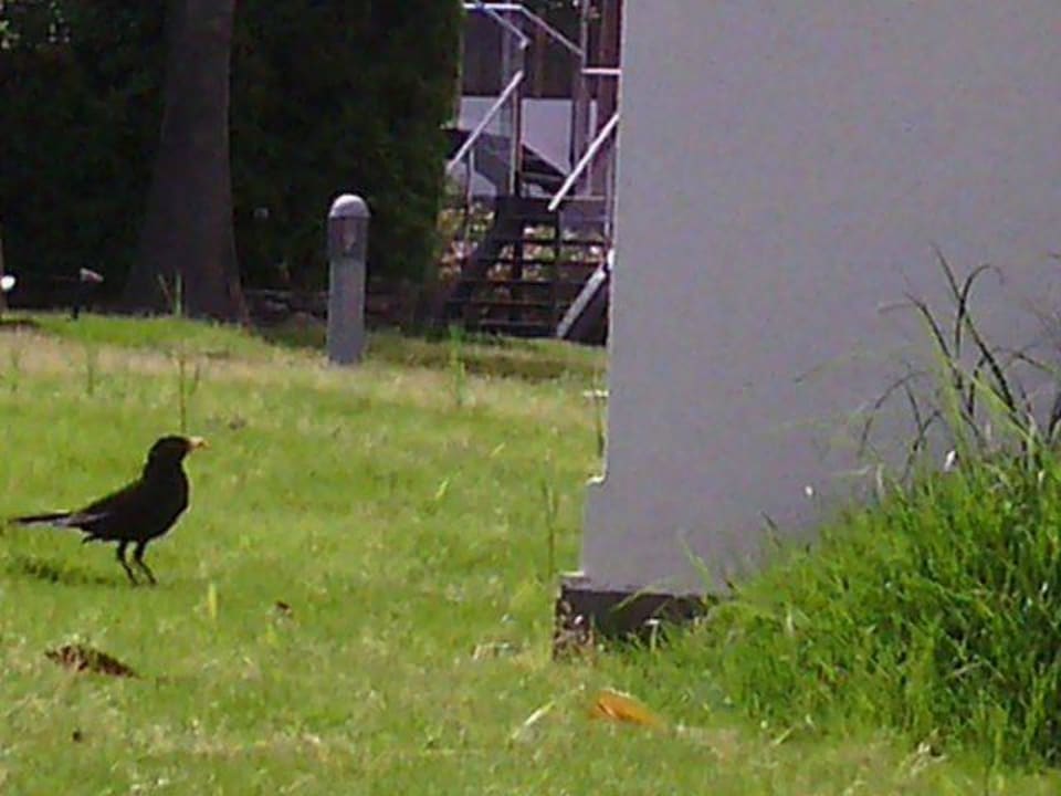 Schade,  Weg zu den Terrassen kann man nicht sehn Hotel El Palmar