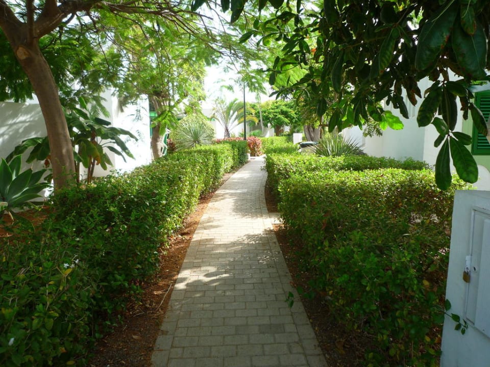 Weg zum Bungalow Bungalows Cordial Sandy Golf