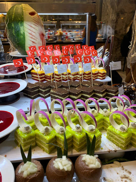 Gastro Seashell Vega