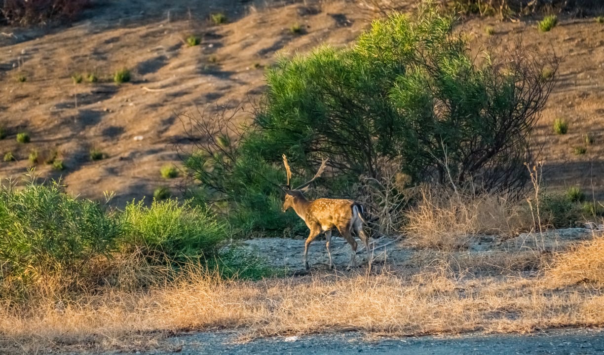 Ausblick Ekaterini Hotel