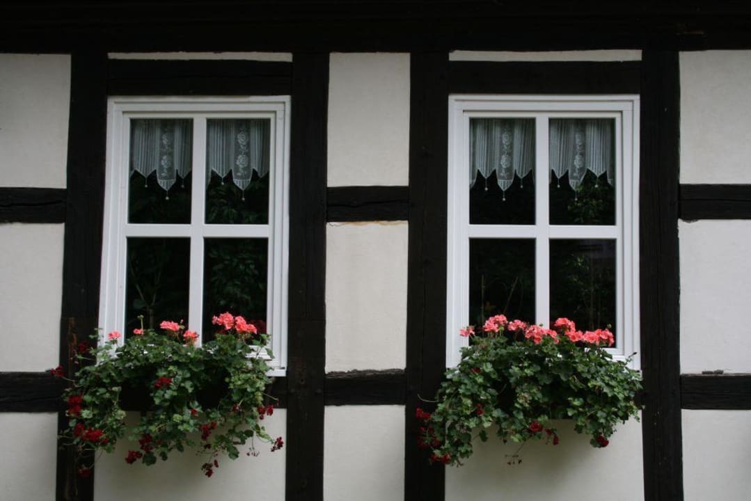 Springbachmühle Hotel Springbach-Mühle