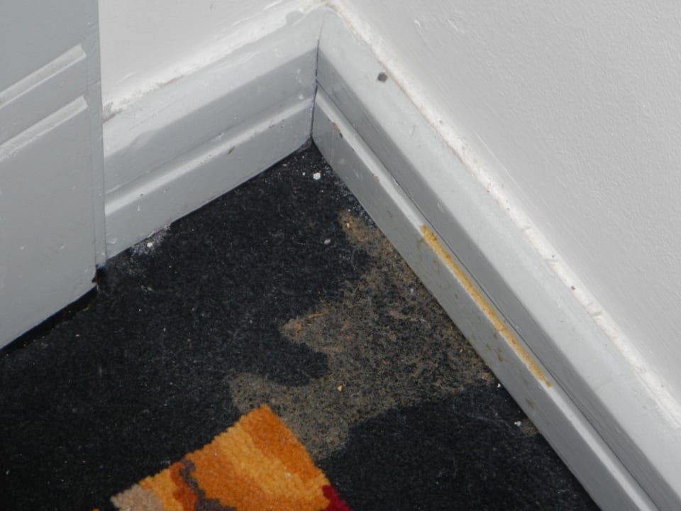 Hat da einer hingespuckt ??? Plaza Inn Doha