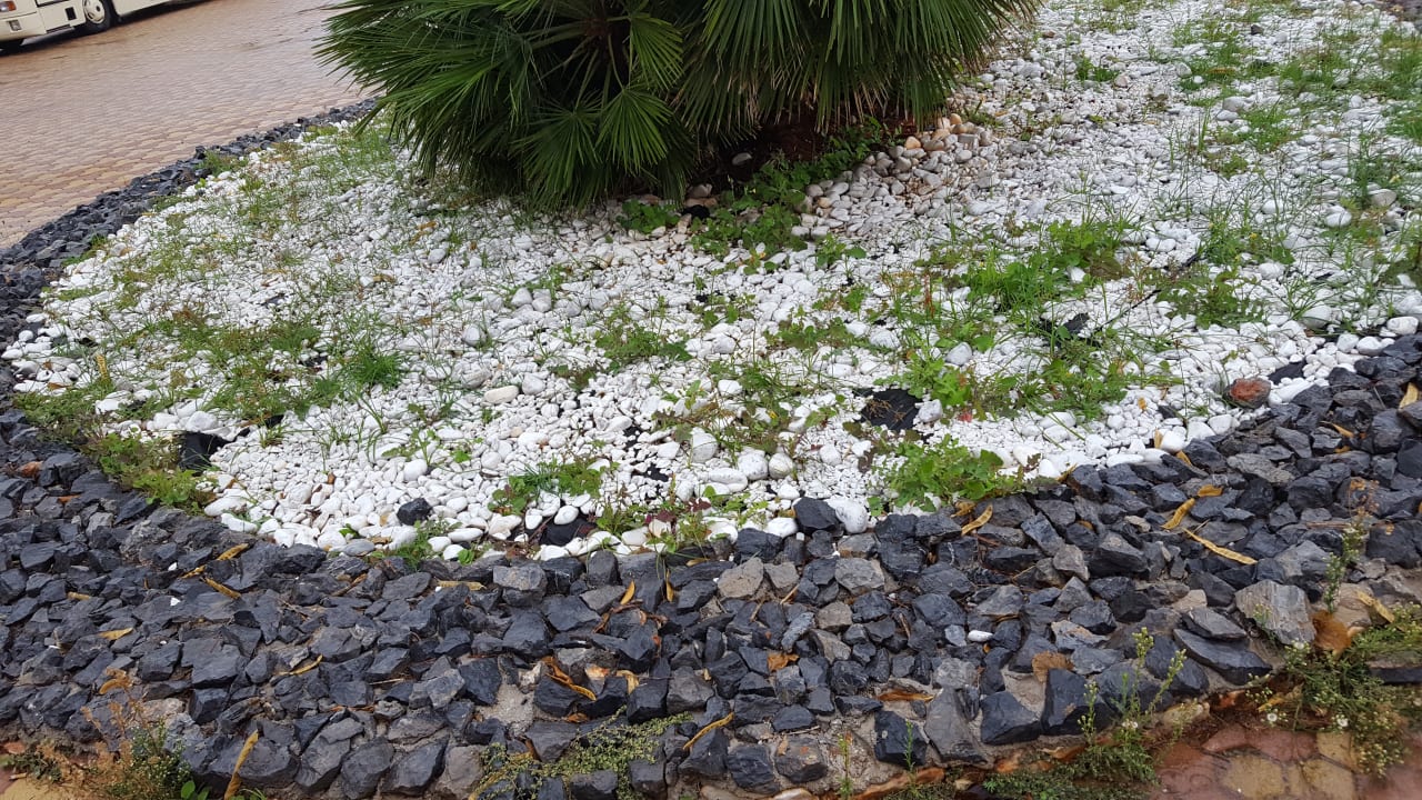 Außenansicht Isla Brown Chania Resort, Curio Collection by Hilton