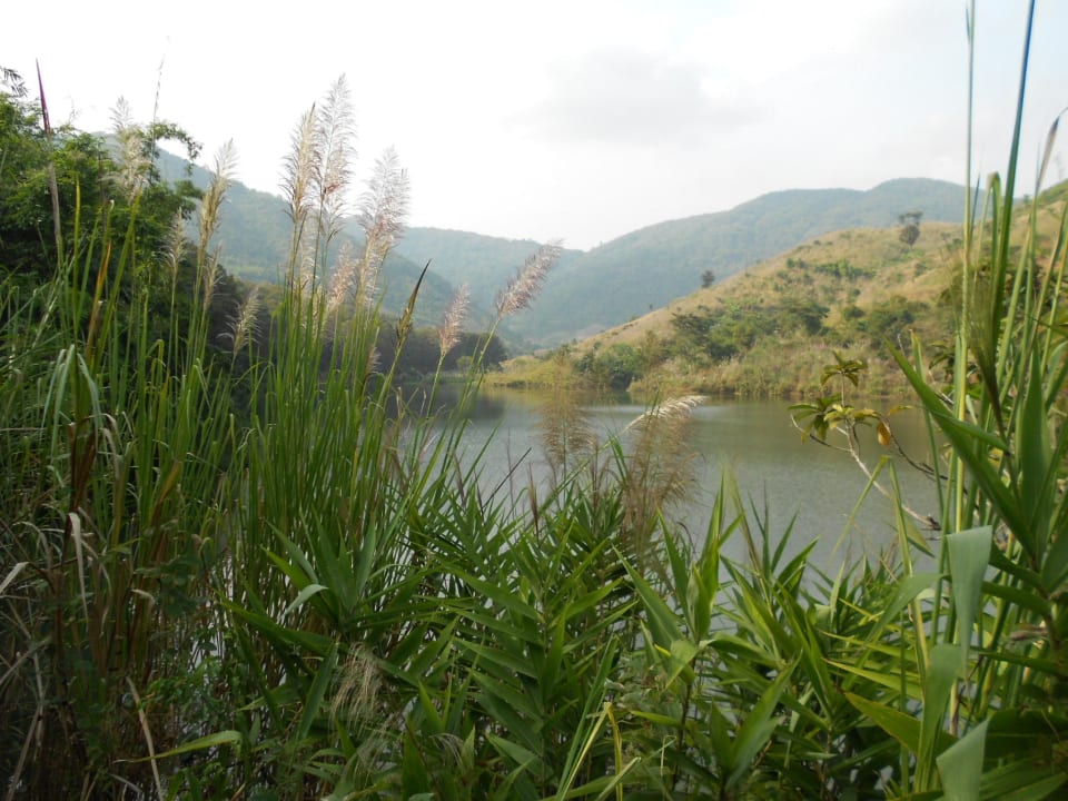 Wanderung um den See Nok's Garden Resort