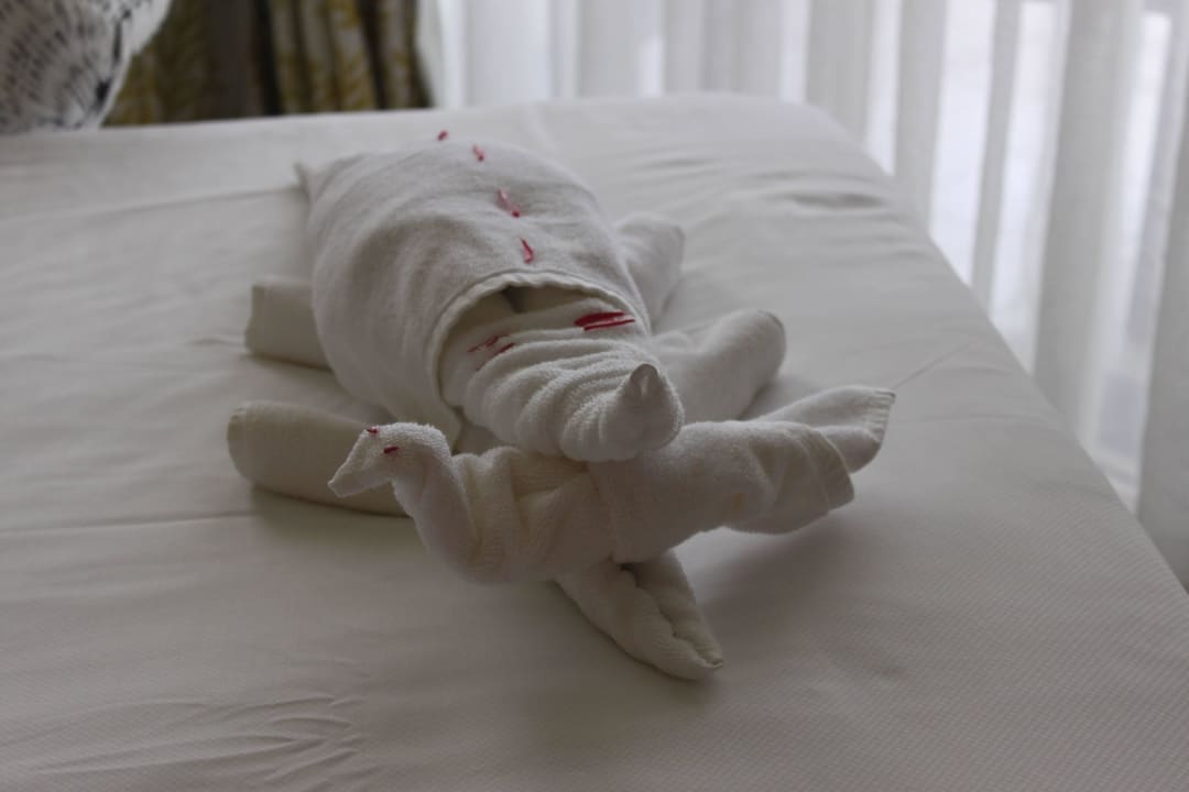 Tolle Tiere aus Handtüchern bebastelt Taj Bentota Resort & Spa