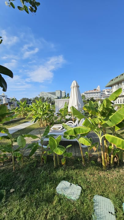 Gartenanlage Hotel Novum Garden Side