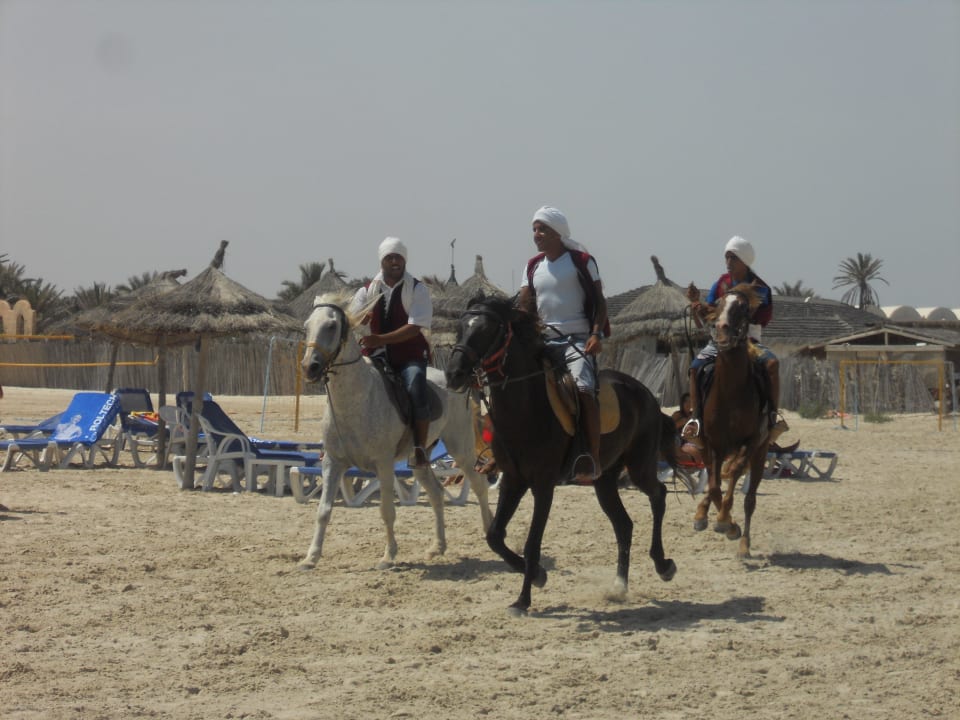 Reiterspiele am Strand Hotel Seabel Rym Beach Djerba