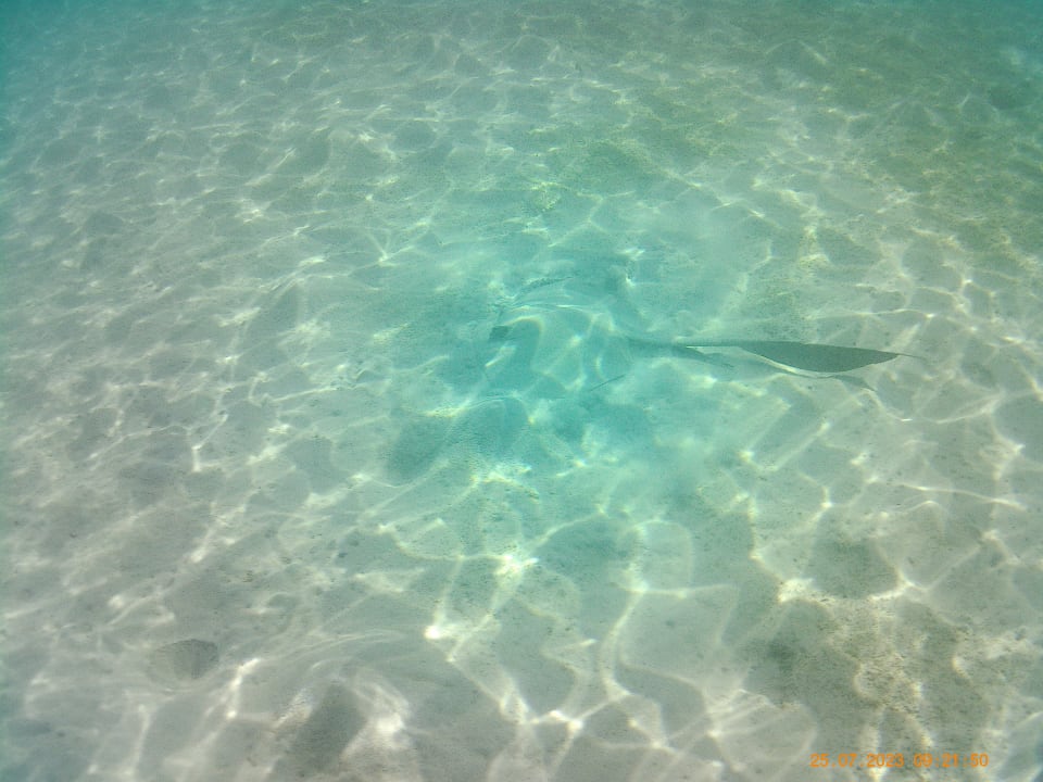 Sport & Freizeit Coral Sun Beach