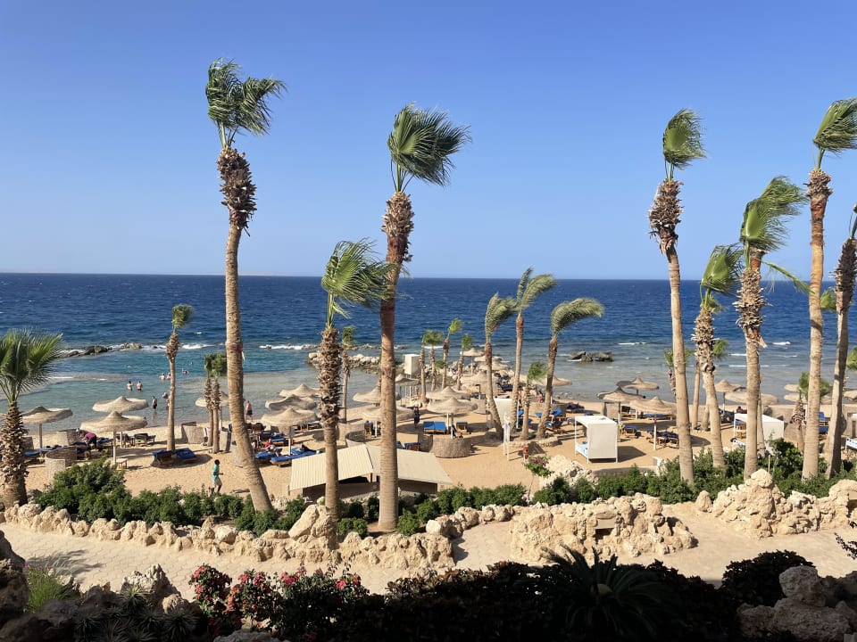 Strand Pickalbatros Citadel Resort