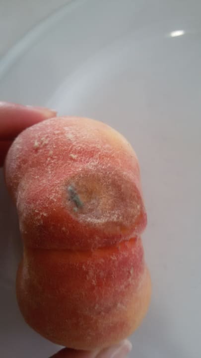 Restaurant Hotel Best Siroco