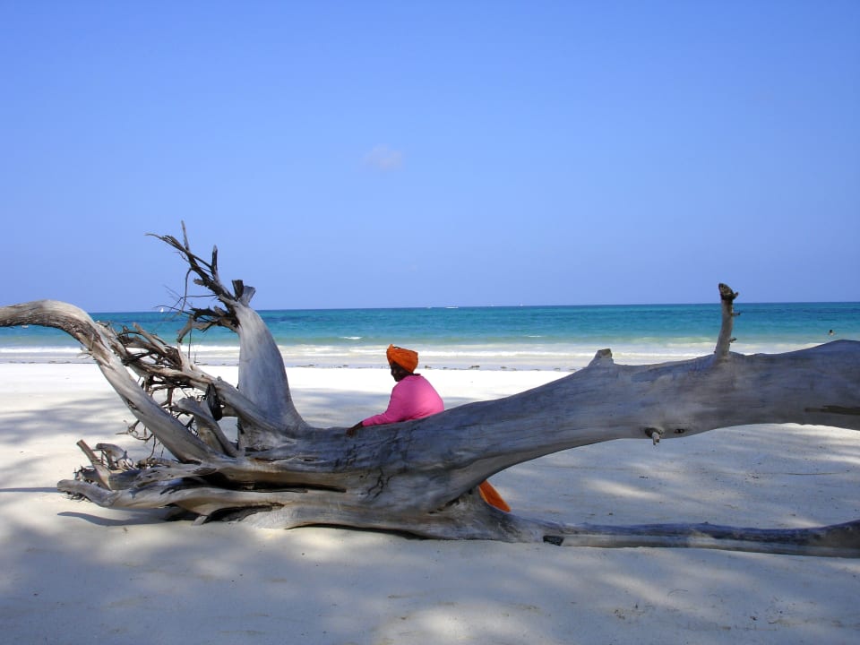 Strand Diani Reef Beach Resort & Spa