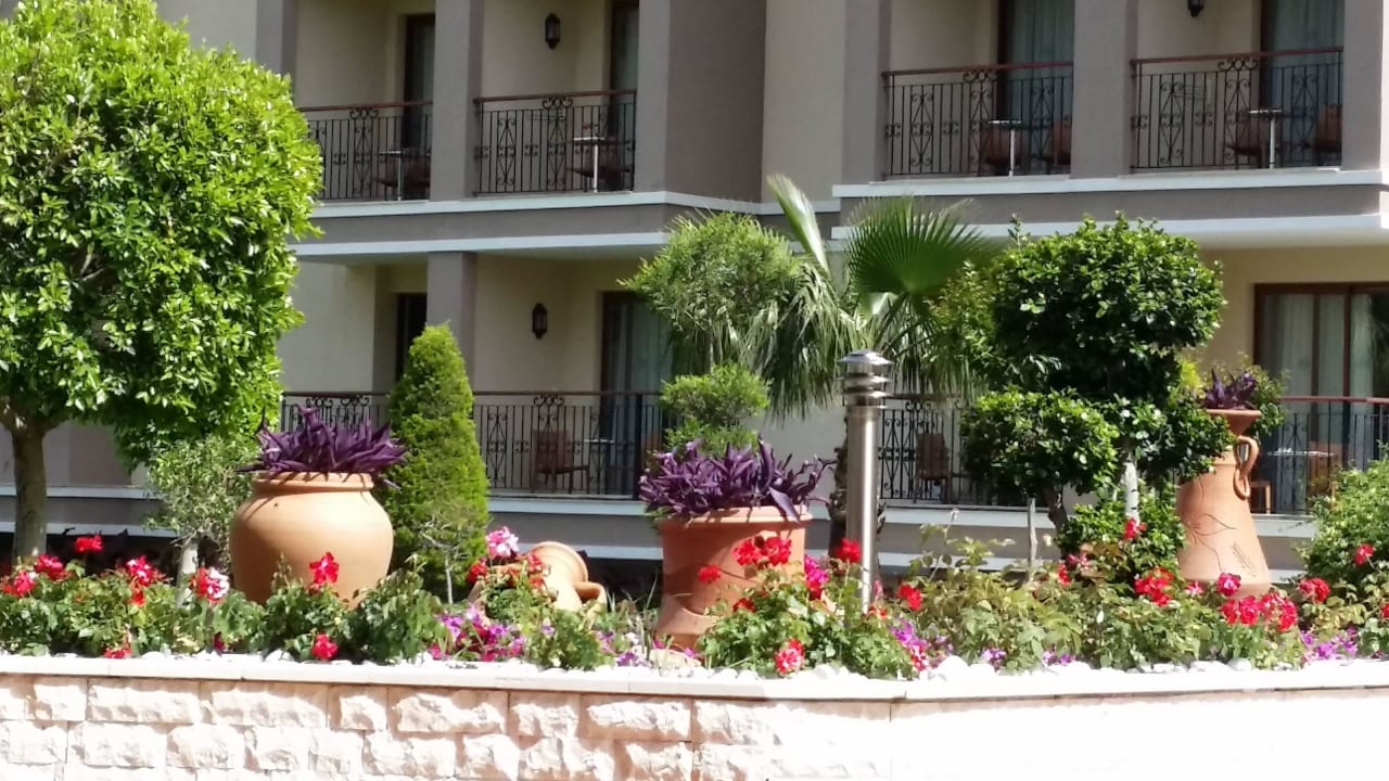 Schöner Garten an der Rezeption Hotel Turan Prince