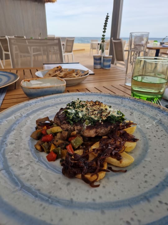 Gastro JAZ Elite Amara