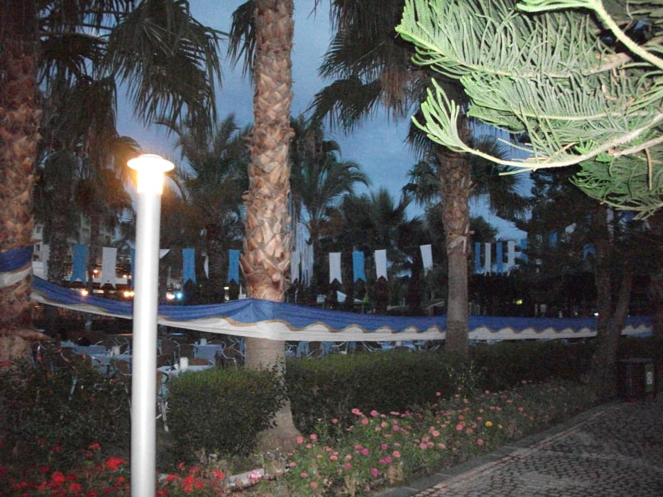 Garten Party Arycanda Kirman Premium