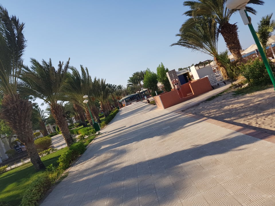 Ausblick Menaville Safaga