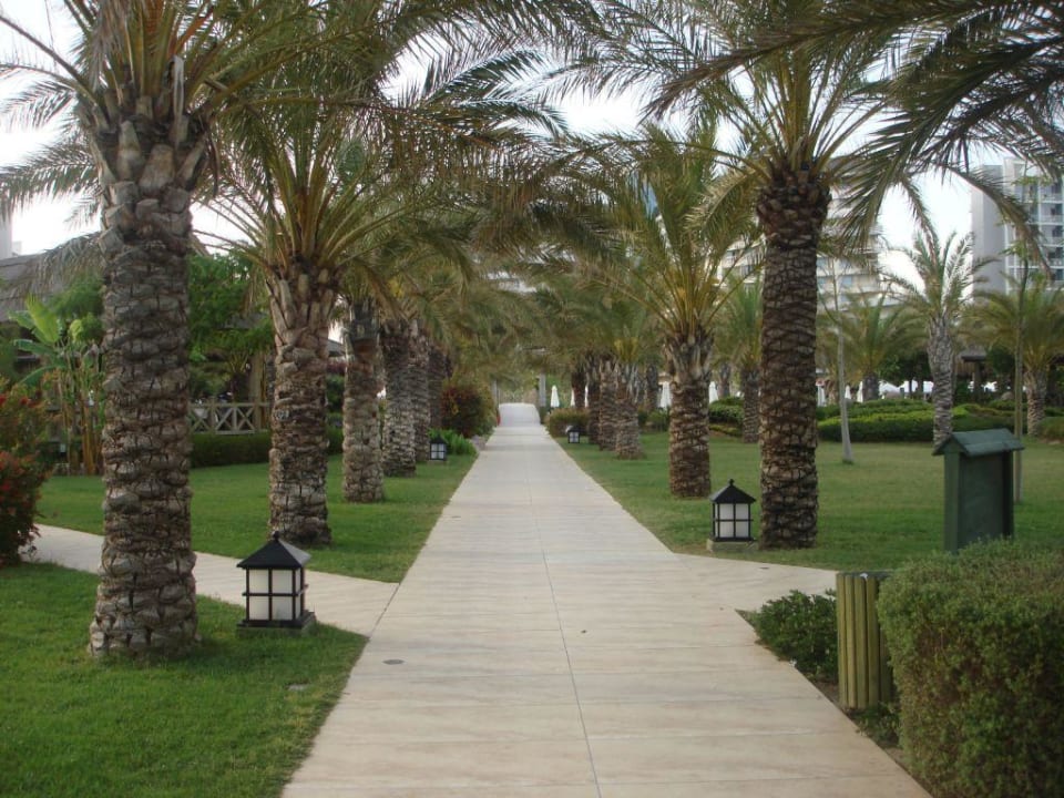 Anlage Royal Wings Hotel