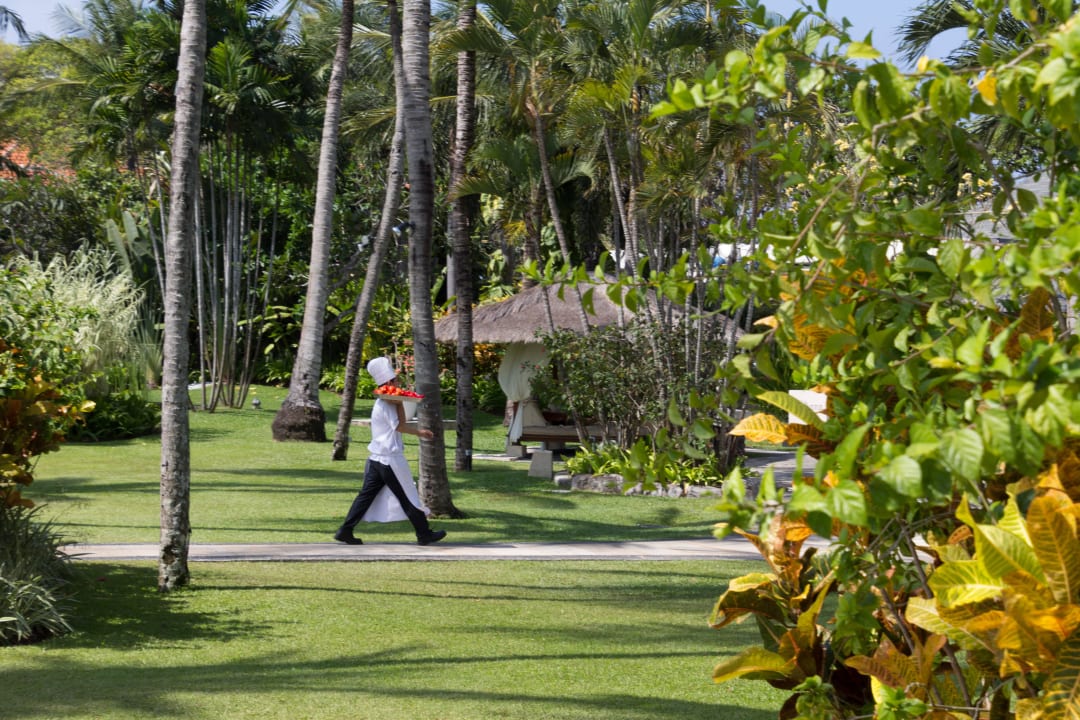 Koch in der Gartenanlage The Laguna A Luxury Collection Resort & Spa