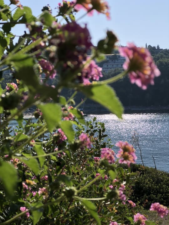 Ausblick Hotel Pine Bay Holiday Resort