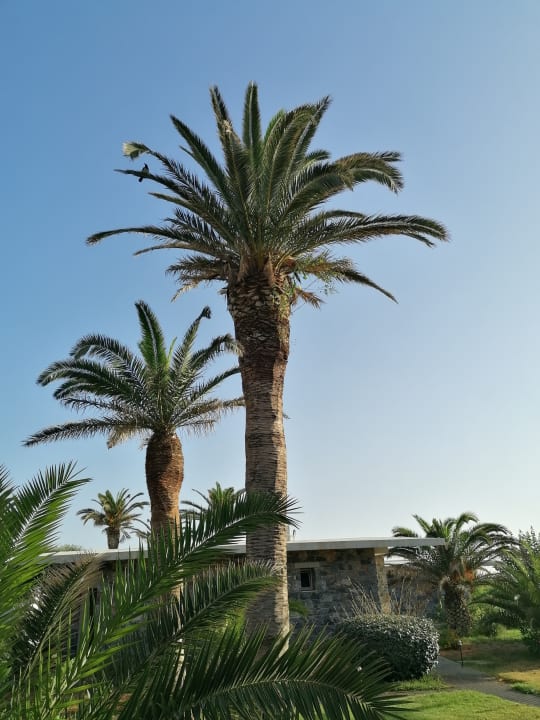 Gartenanlage Civitel Creta Beach