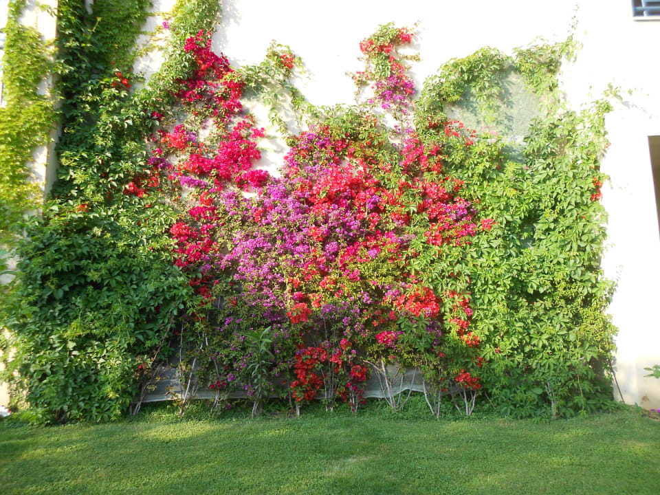 Wunderschön Labranda Alantur Resort