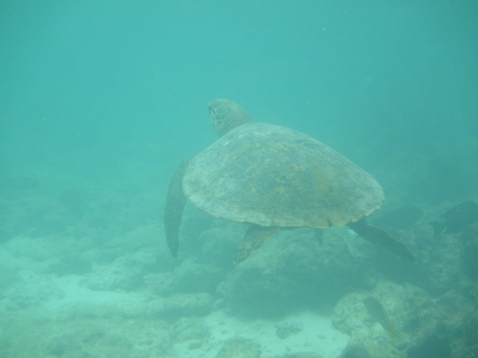 Sport & Freizeit Sun Siyam Olhuveli