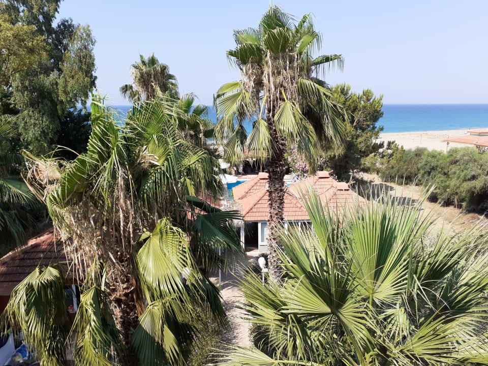 Außenansicht As Queen Beach