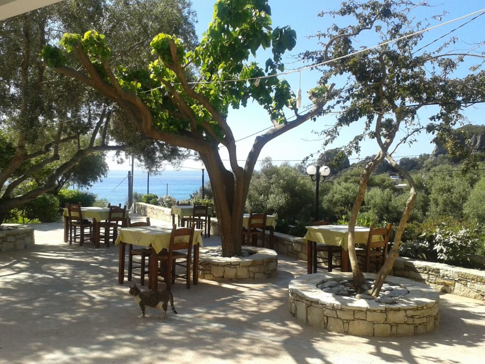 Tavernas yard Hotel Polyrizos