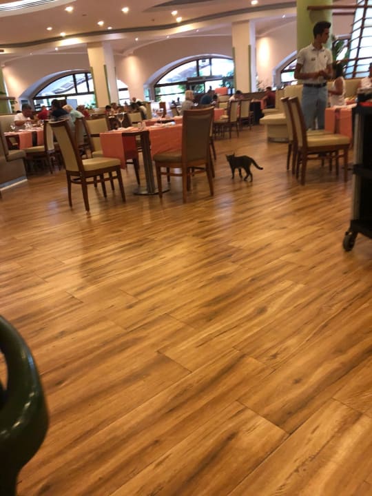 Gastro VONRESORT Golden Coast