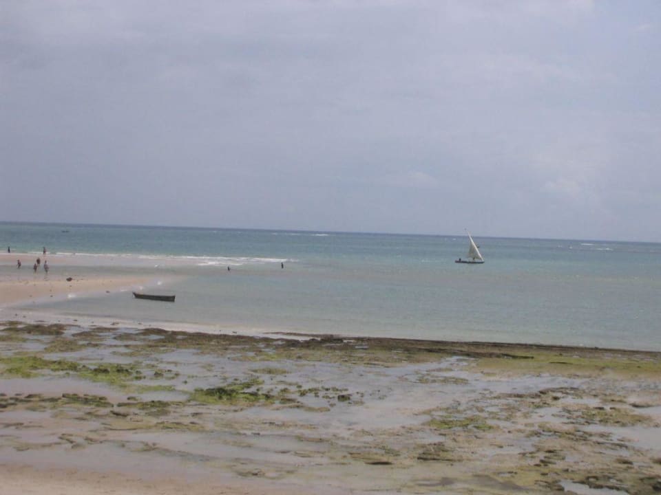 Strand Hotel Jacaranda Indian Ocean Beach Resort