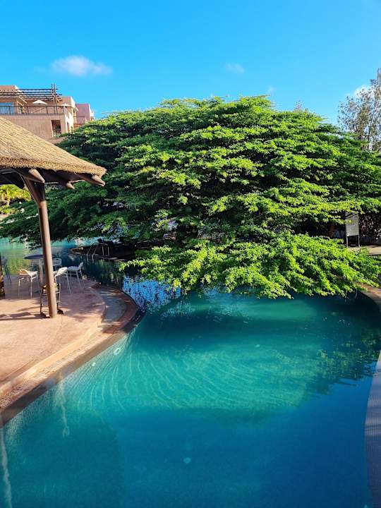 Pool Lopesan Baobab Resort