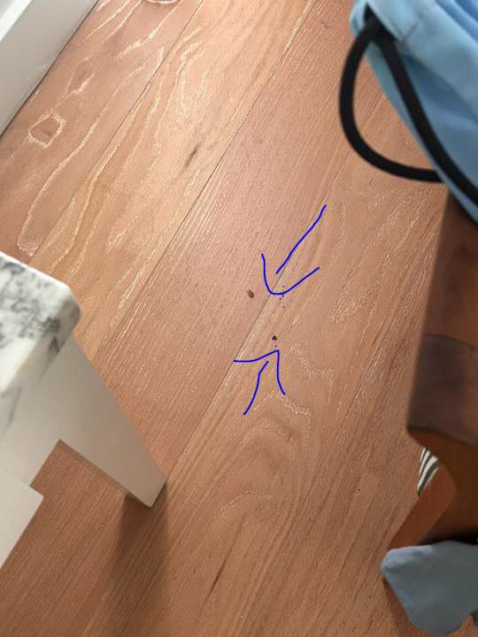 Zimmer Hotel Grecian Bay