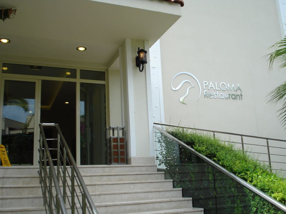 Hauptrestaurant Paloma Oceana