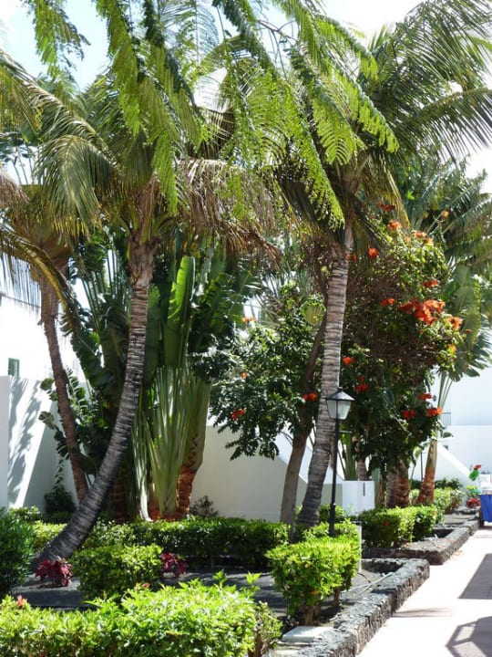 Anlage Hotel Riu Paraiso Lanzarote