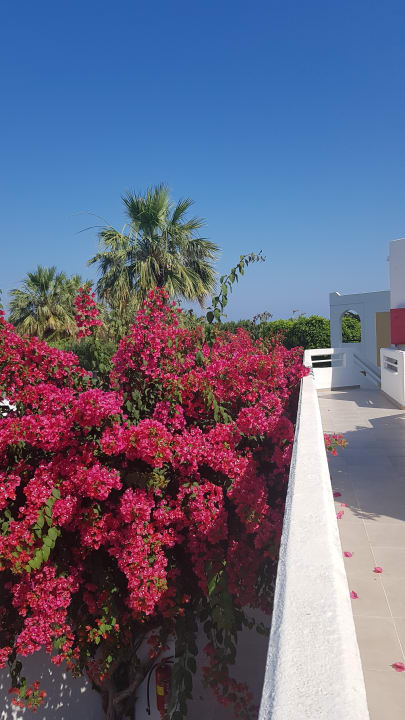 Gartenanlage TUI KIDS CLUB Alex Beach