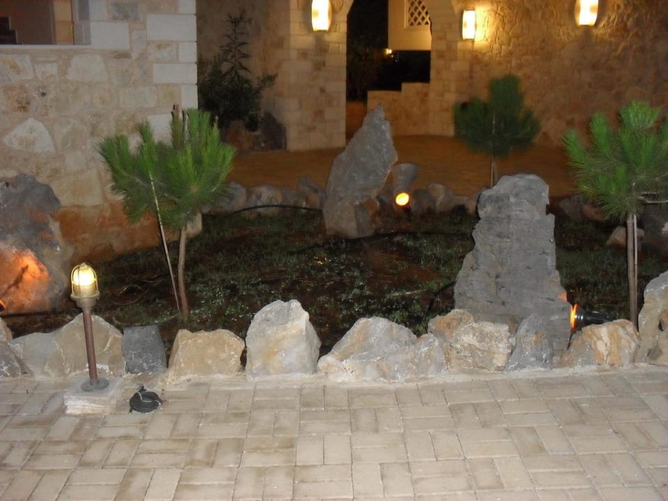 Gartenanlage am Abend Cactus Royal