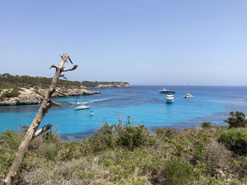 Ausblick Grupotel Rocador