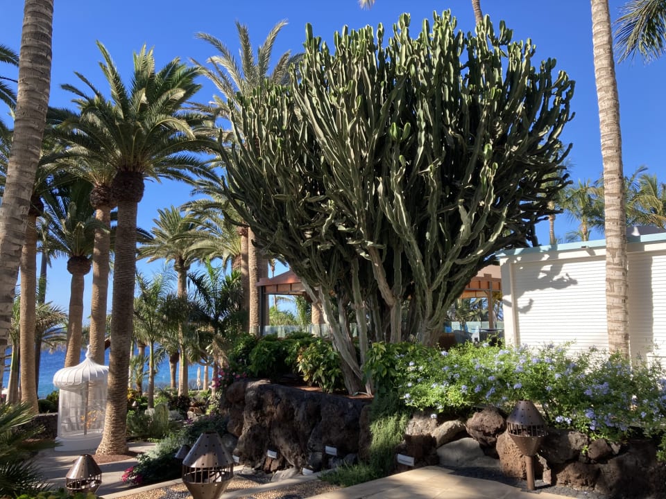 Gartenanlage Hotel Fariones