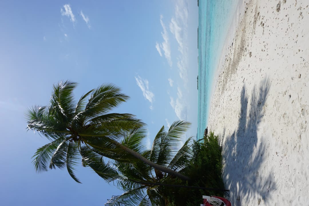 Strand Cinnamon Hakuraa Huraa Maldives