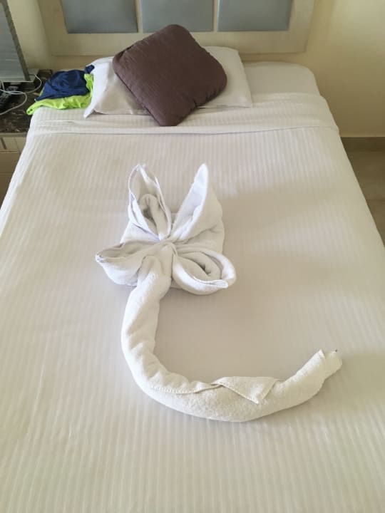 Zimmer Tropitel Sahl Hasheesh