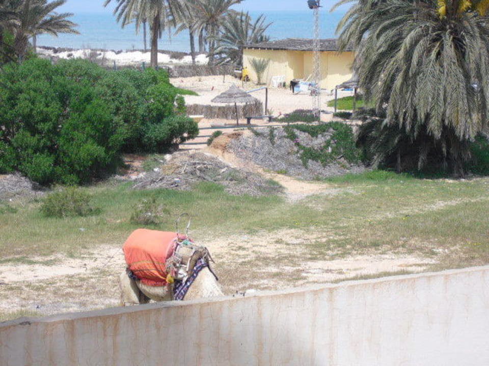 Ausblick aus unserem Zimmer mit Gartenblick Hotel Eden Star